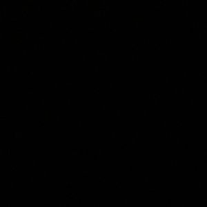 Meet your Posher, Jazmin